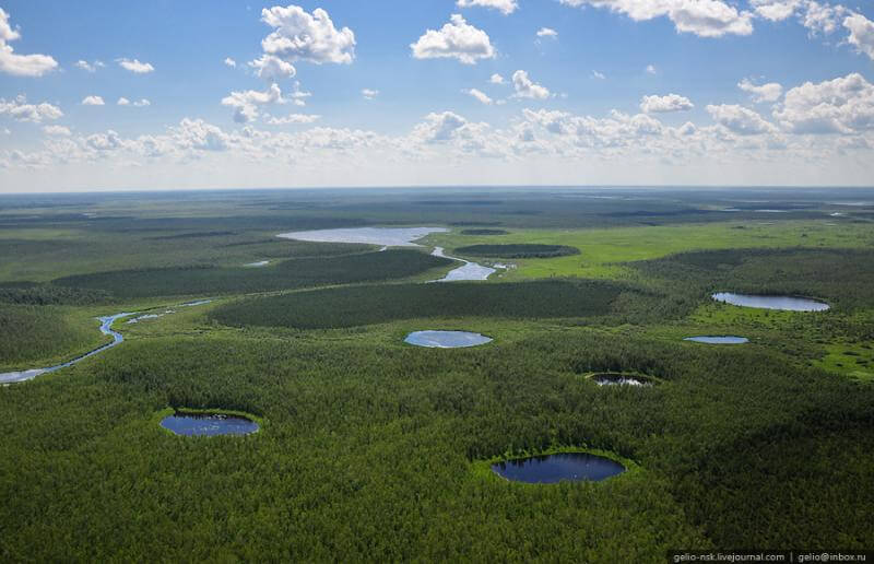 190828xcitefun-vasyugan-swamp-01